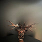Custom Minifigures: Shadow Fiend – DOTA 2 Edition